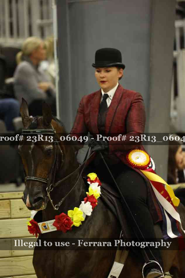 Proof 23R13_06049