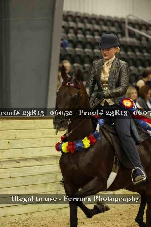 Proof 23R13_06052