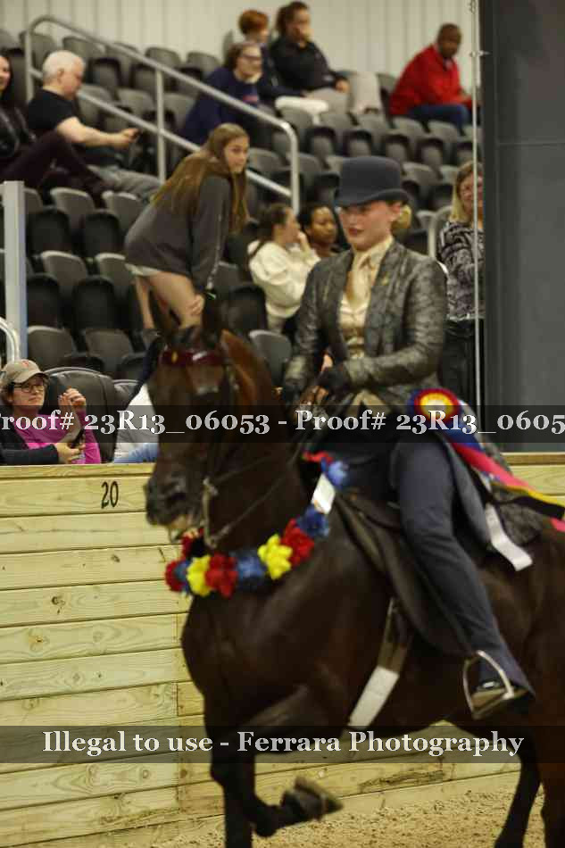 Proof 23R13_06053