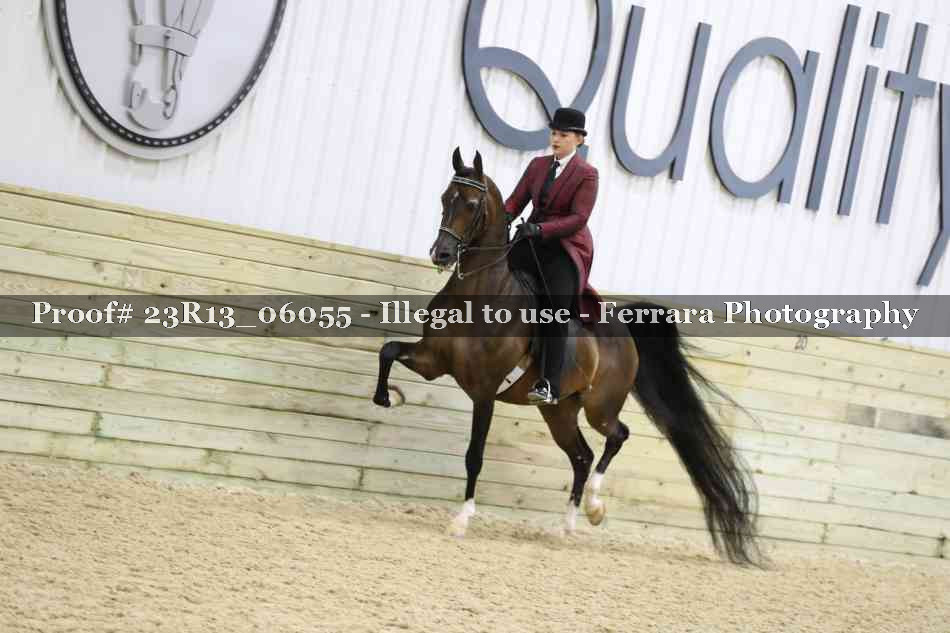 Proof 23R13_06055