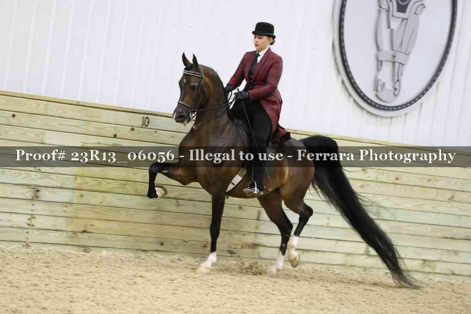 Proof 23R13_06056