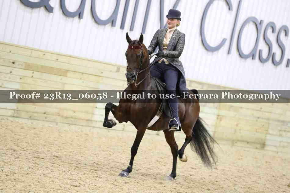 Proof 23R13_06058