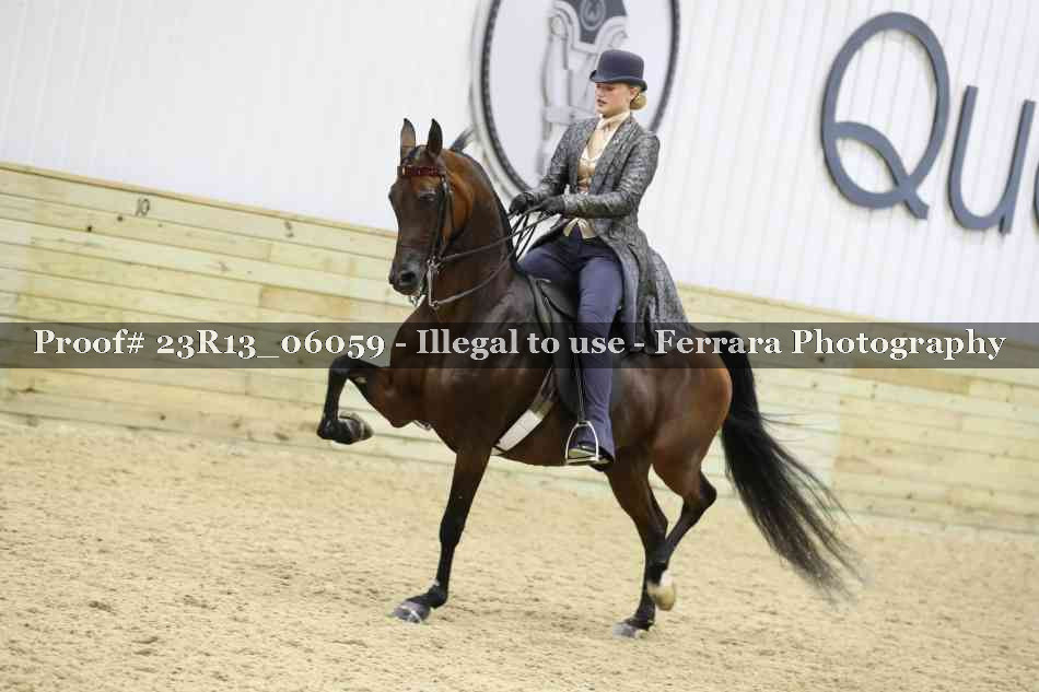 Proof 23R13_06059