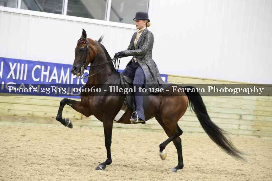 Proof 23R13_06060