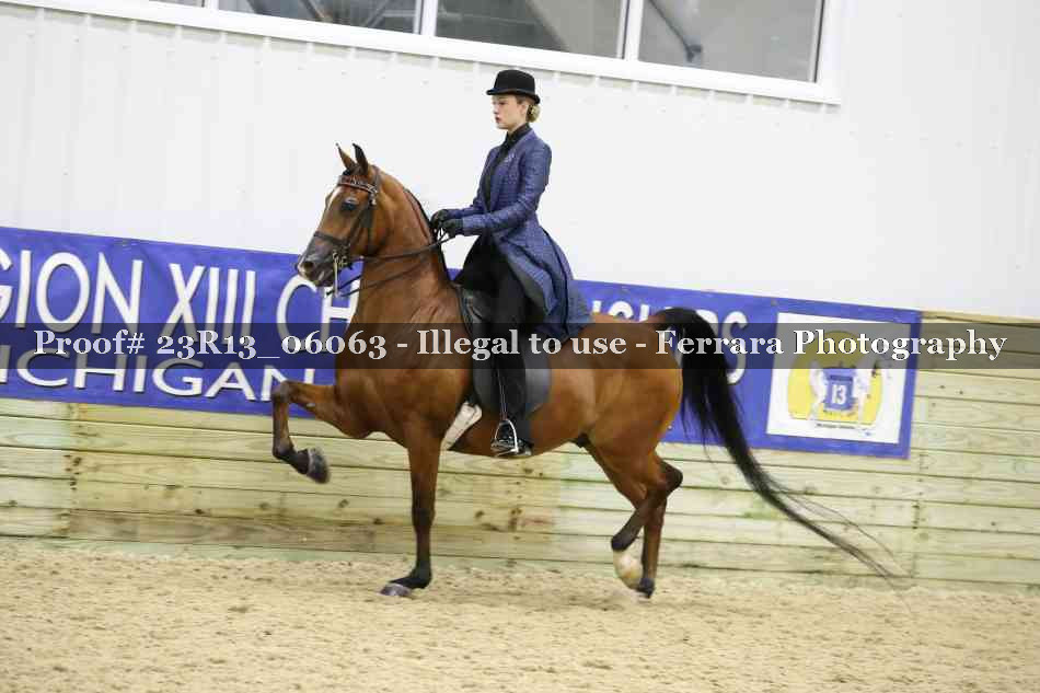 Proof 23R13_06063