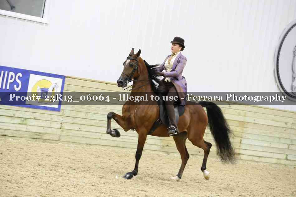 Proof 23R13_06064