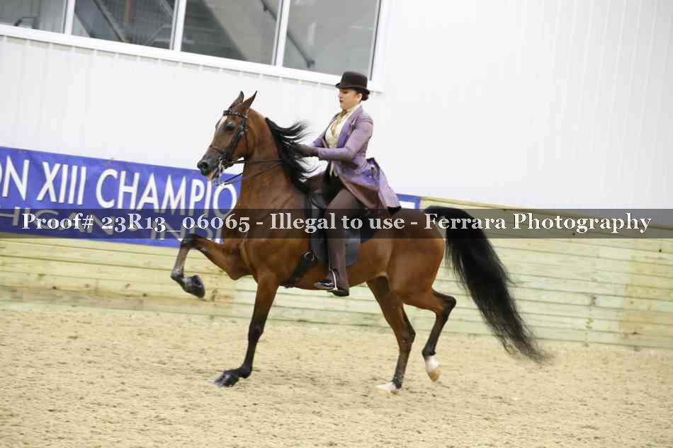 Proof 23R13_06065