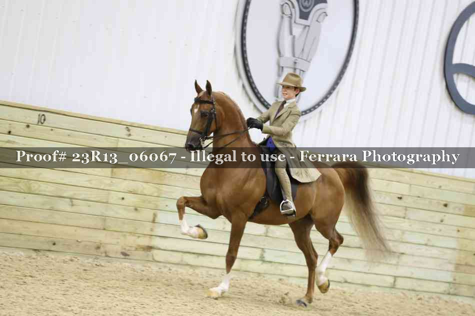 Proof 23R13_06067