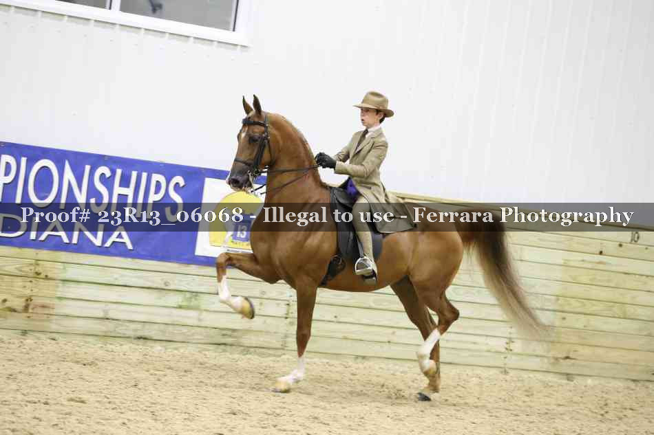 Proof 23R13_06068