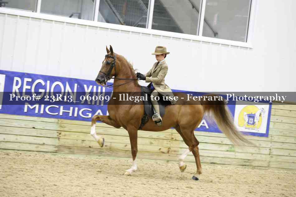 Proof 23R13_06069