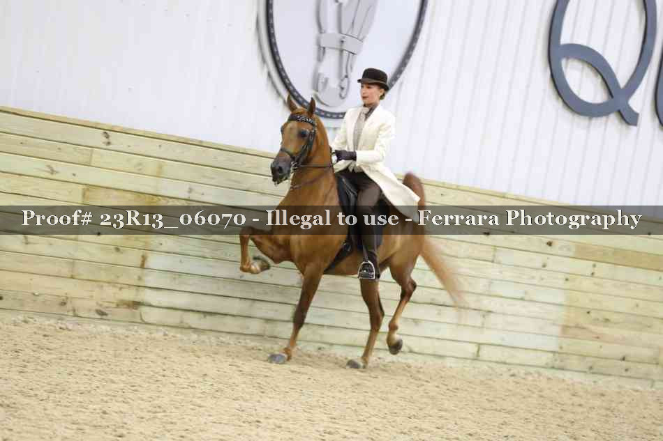 Proof 23R13_06070