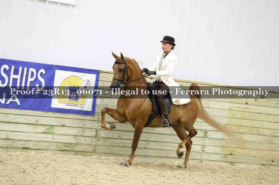 Proof 23R13_06071