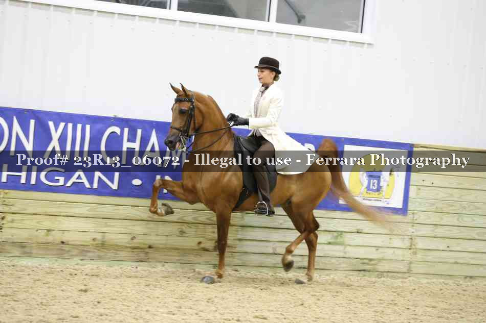 Proof 23R13_06072