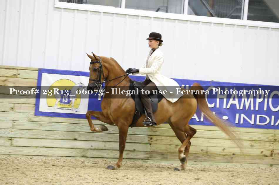 Proof 23R13_06073