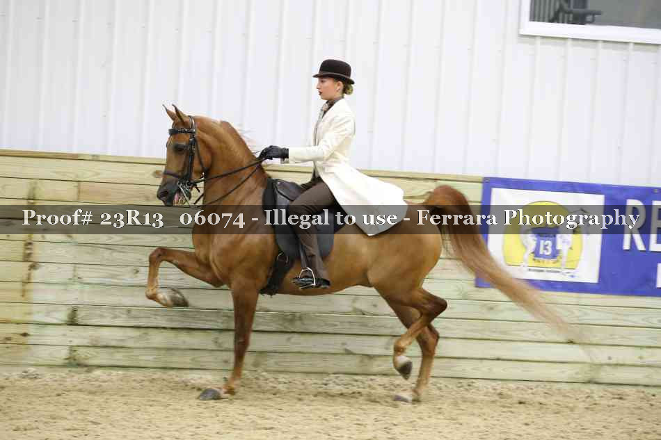 Proof 23R13_06074