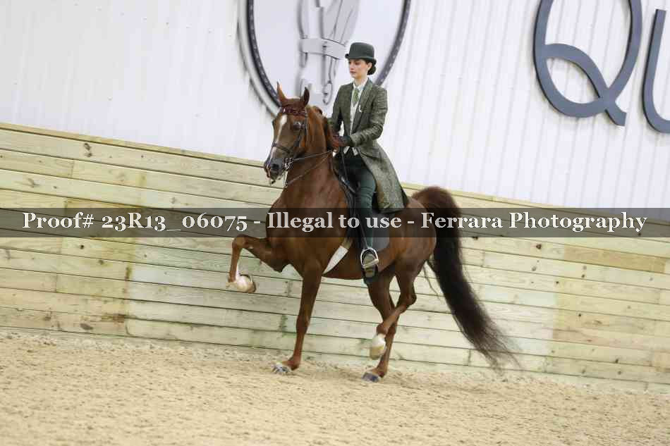 Proof 23R13_06075