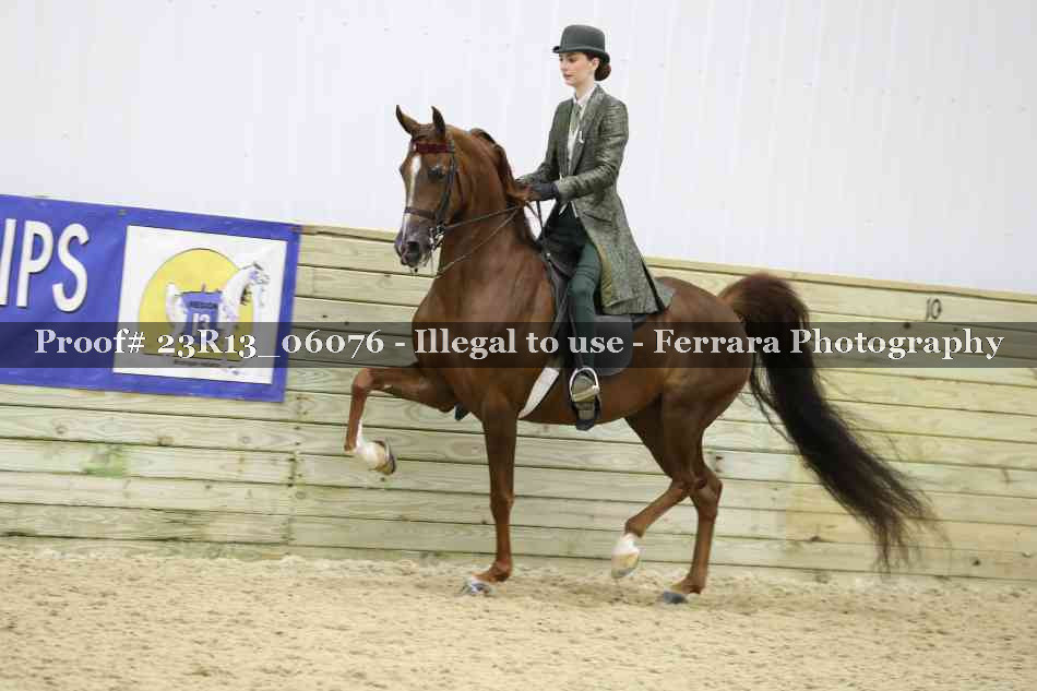 Proof 23R13_06076