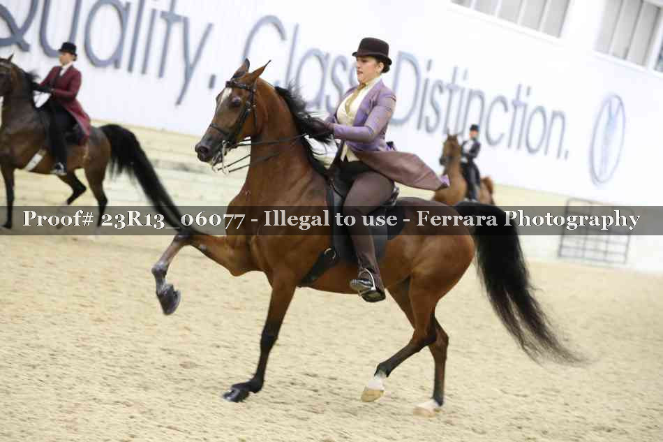 Proof 23R13_06077