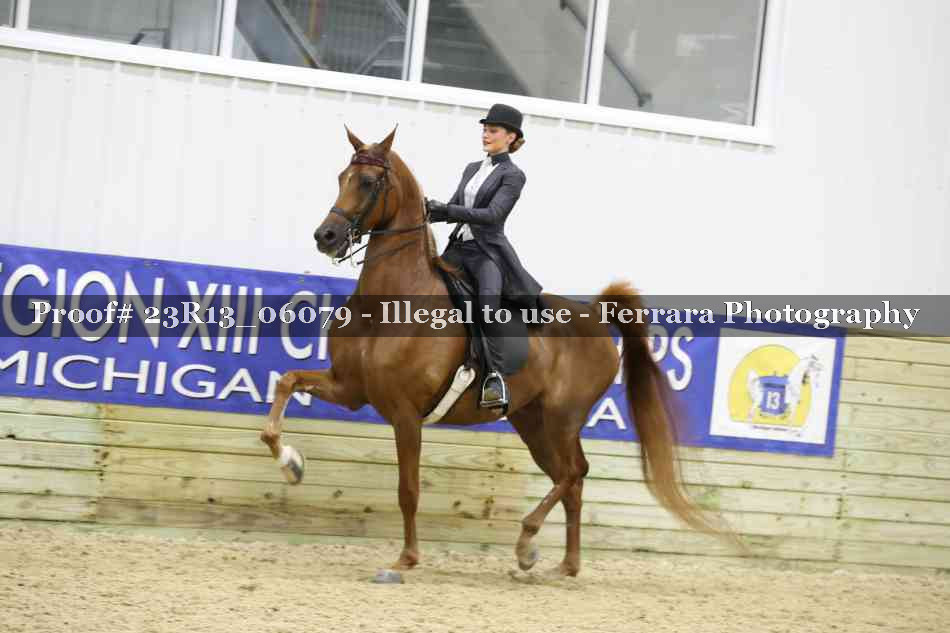 Proof 23R13_06079