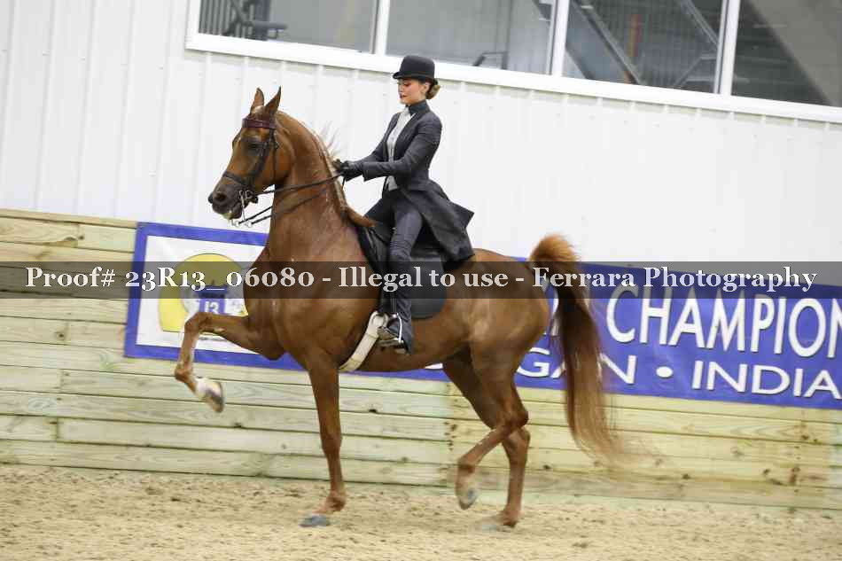 Proof 23R13_06080