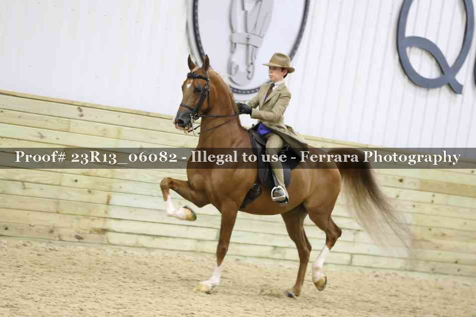 Proof 23R13_06082