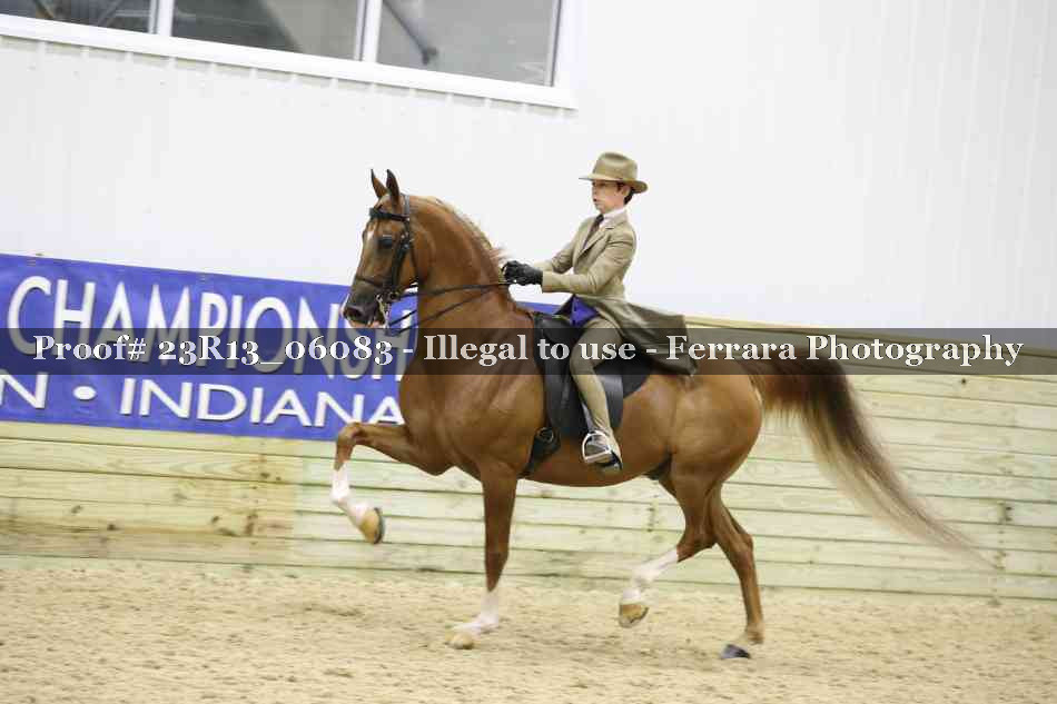 Proof 23R13_06083