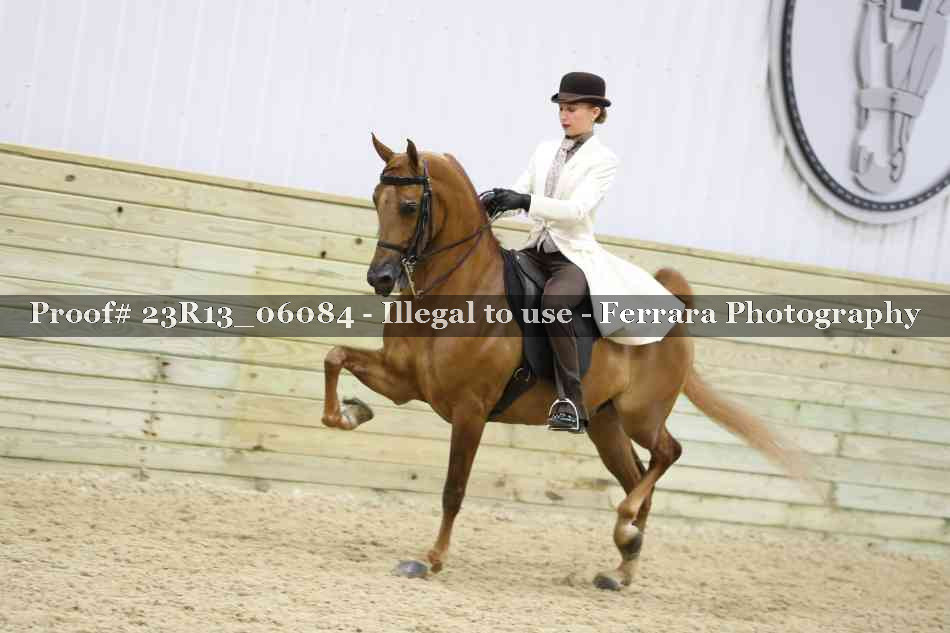 Proof 23R13_06084