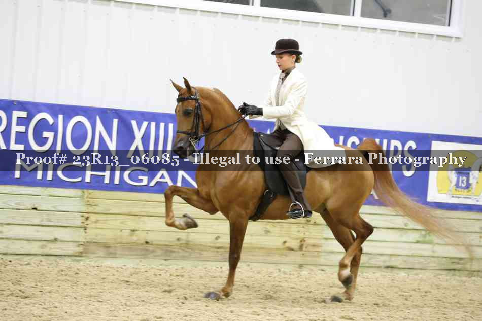 Proof 23R13_06085
