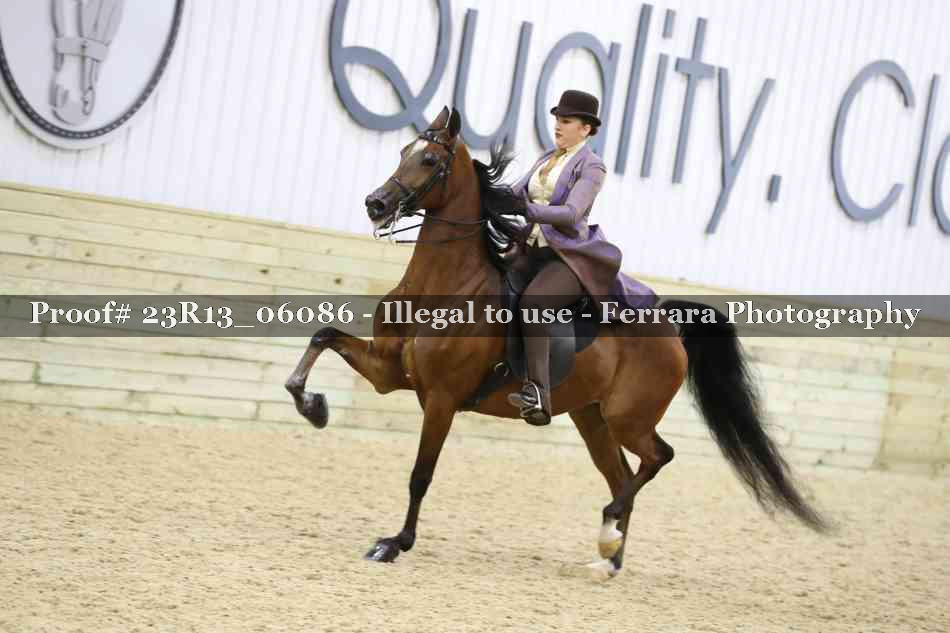 Proof 23R13_06086