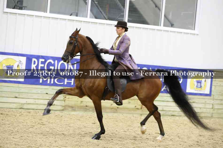 Proof 23R13_06087