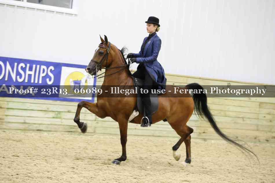 Proof 23R13_06089