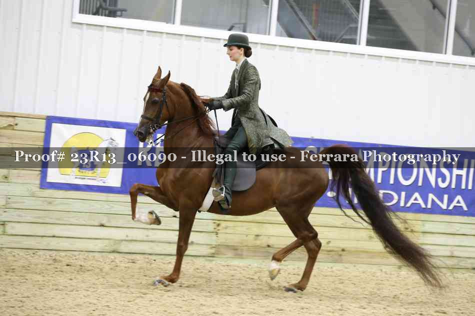 Proof 23R13_06090