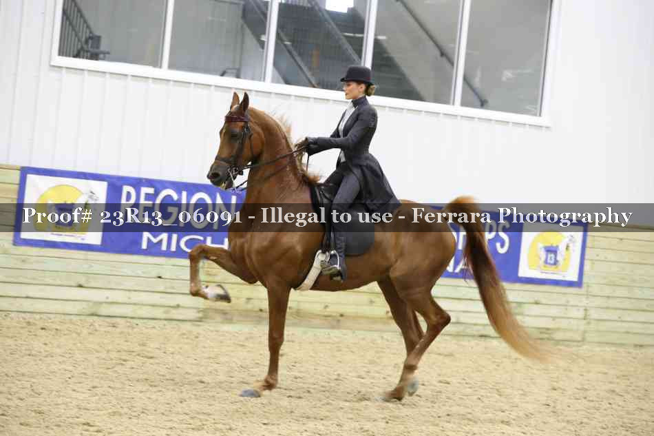 Proof 23R13_06091