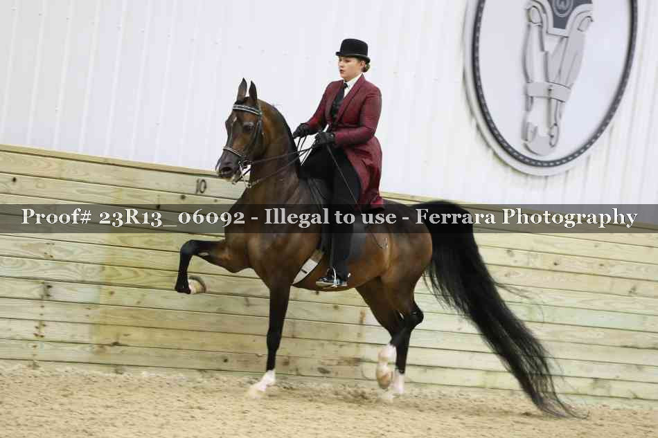 Proof 23R13_06092