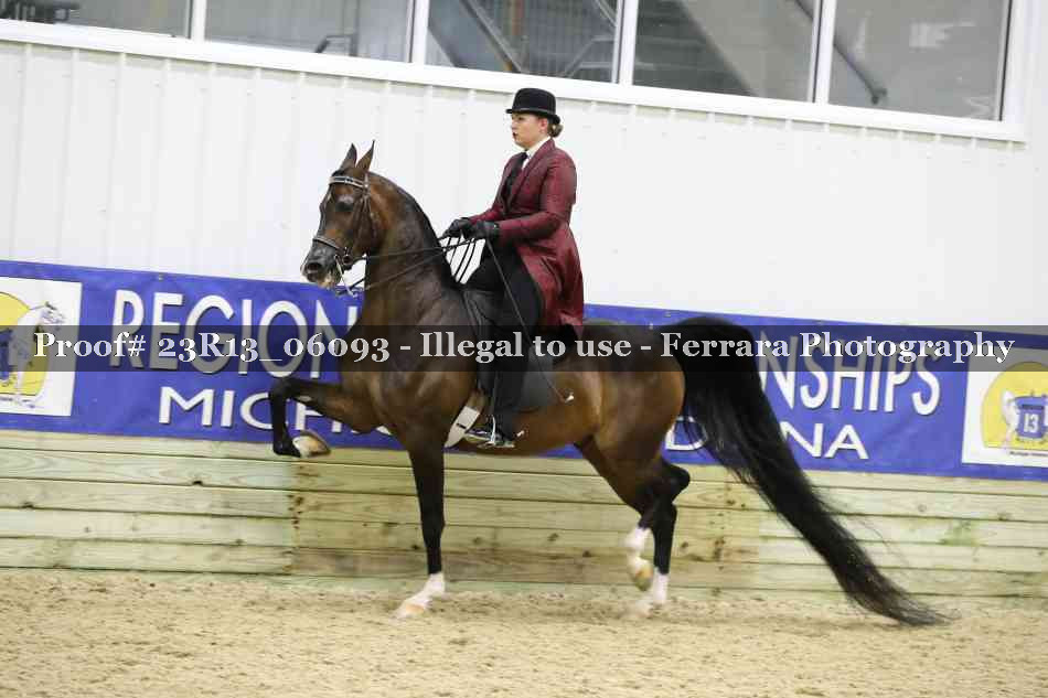 Proof 23R13_06093