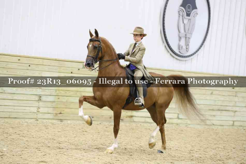 Proof 23R13_06095