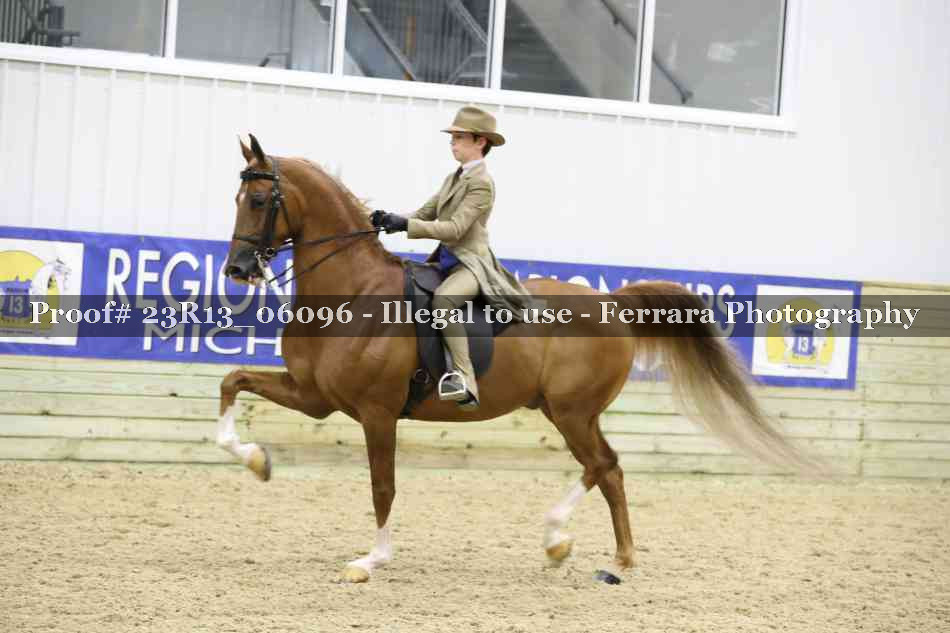 Proof 23R13_06096