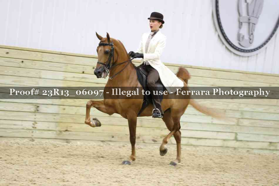Proof 23R13_06097