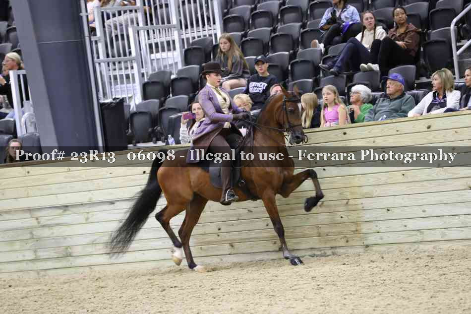 Proof 23R13_06098
