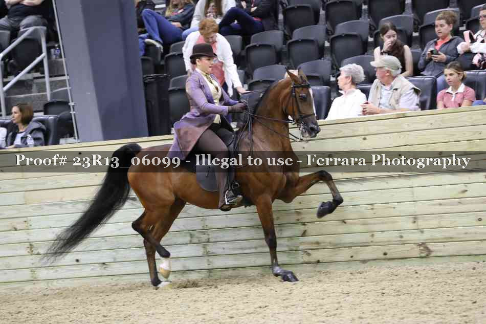 Proof 23R13_06099