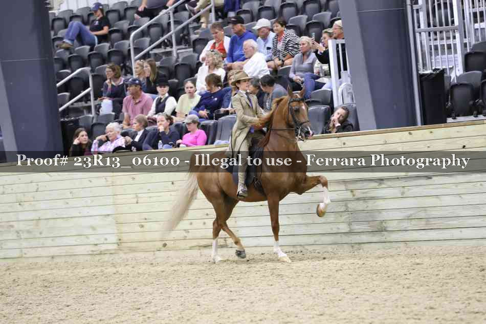 Proof 23R13_06100