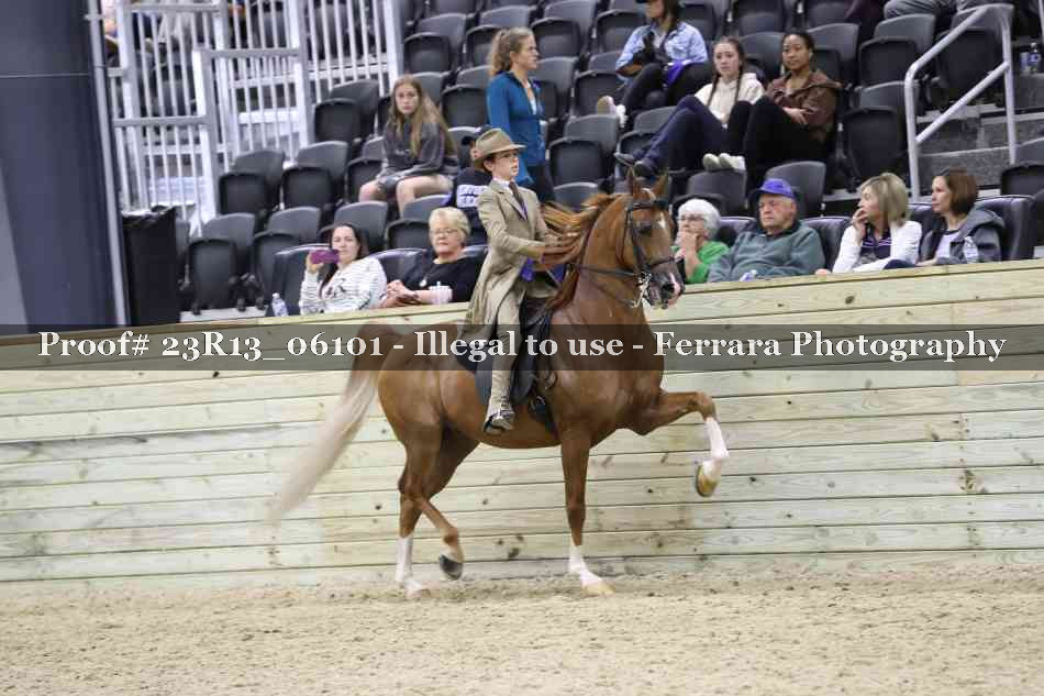 Proof 23R13_06101