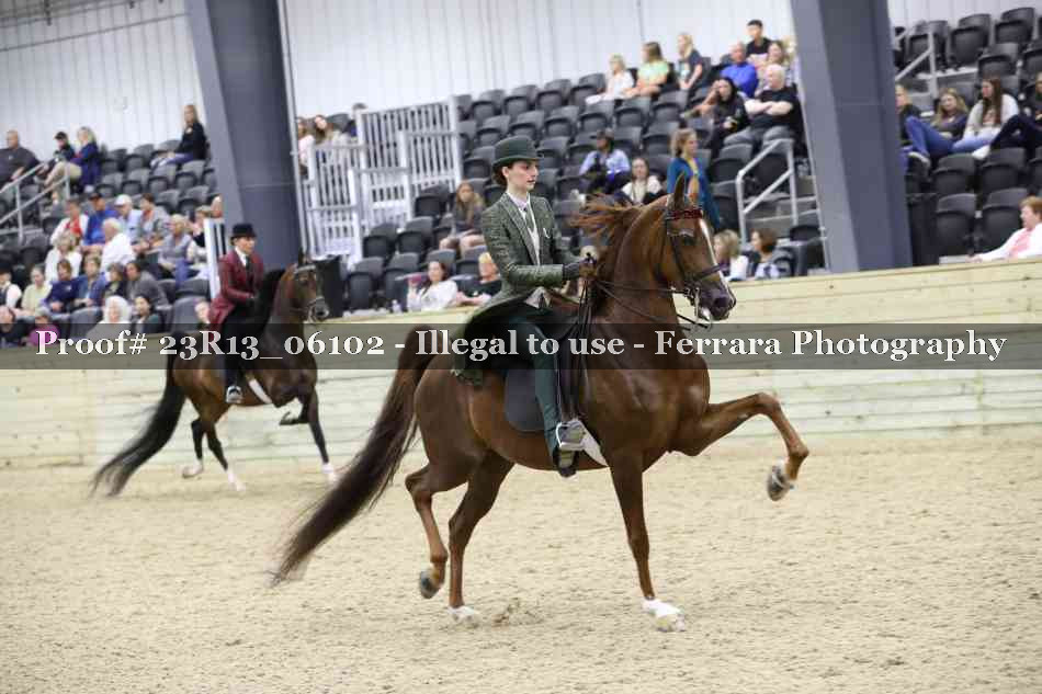 Proof 23R13_06102