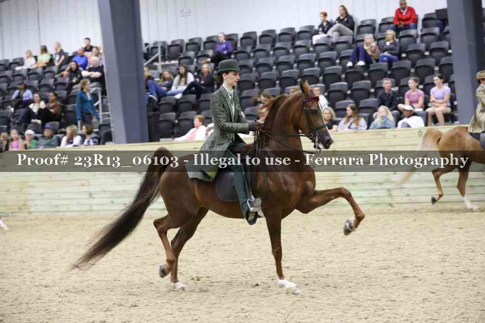 Proof 23R13_06103