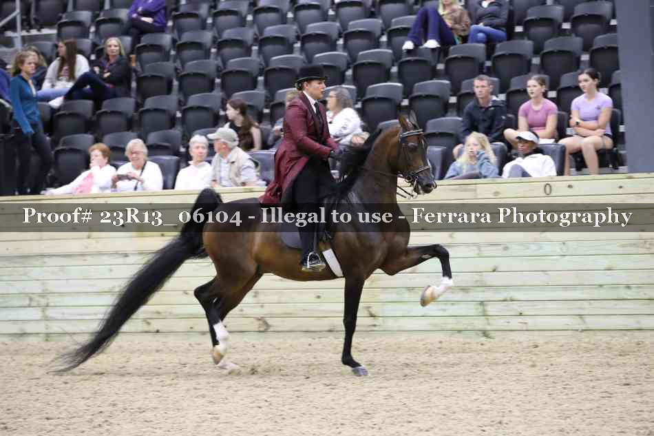 Proof 23R13_06104