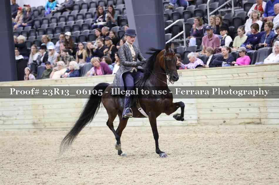 Proof 23R13_06105