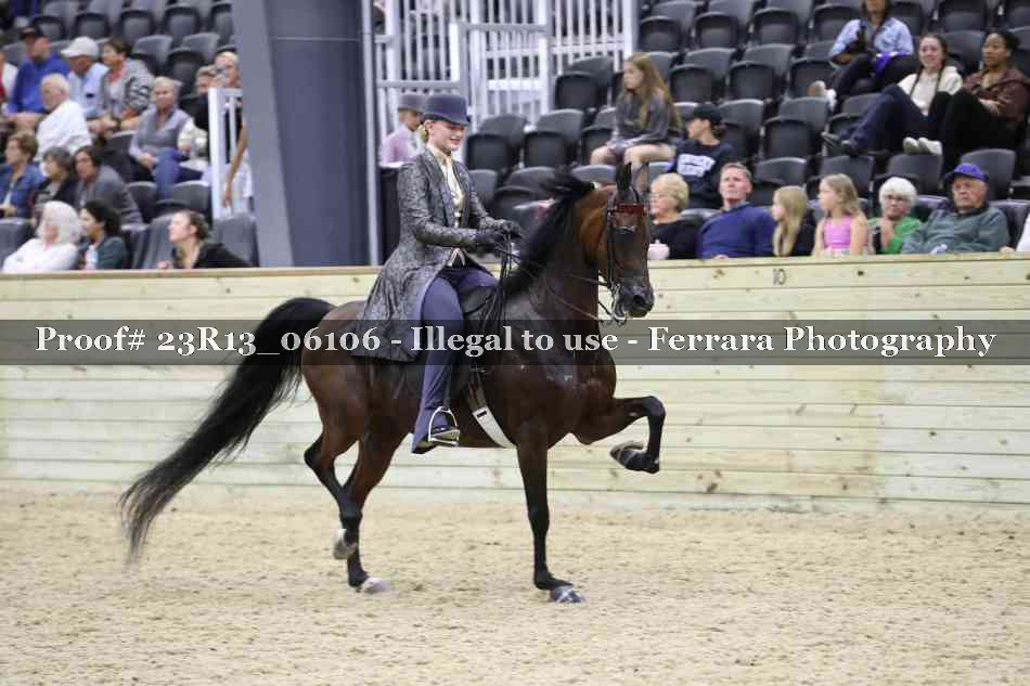Proof 23R13_06106