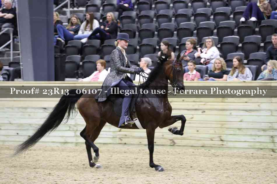 Proof 23R13_06107