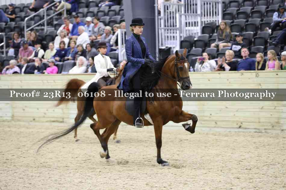 Proof 23R13_06108