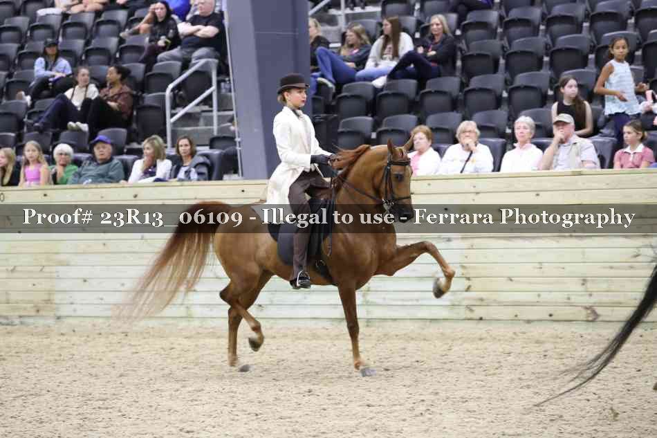 Proof 23R13_06109